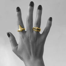 Load image into Gallery viewer, Yellow Gold Double Spine Ring